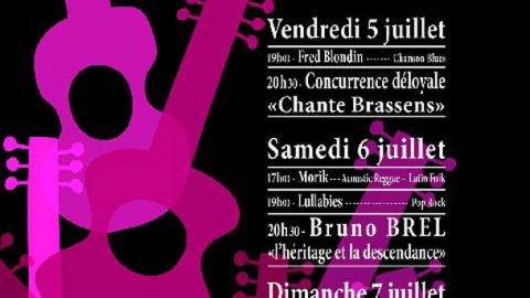 « Festival Guitares » les 5, 6 et 7 juillet 2013 à Saint-Dié